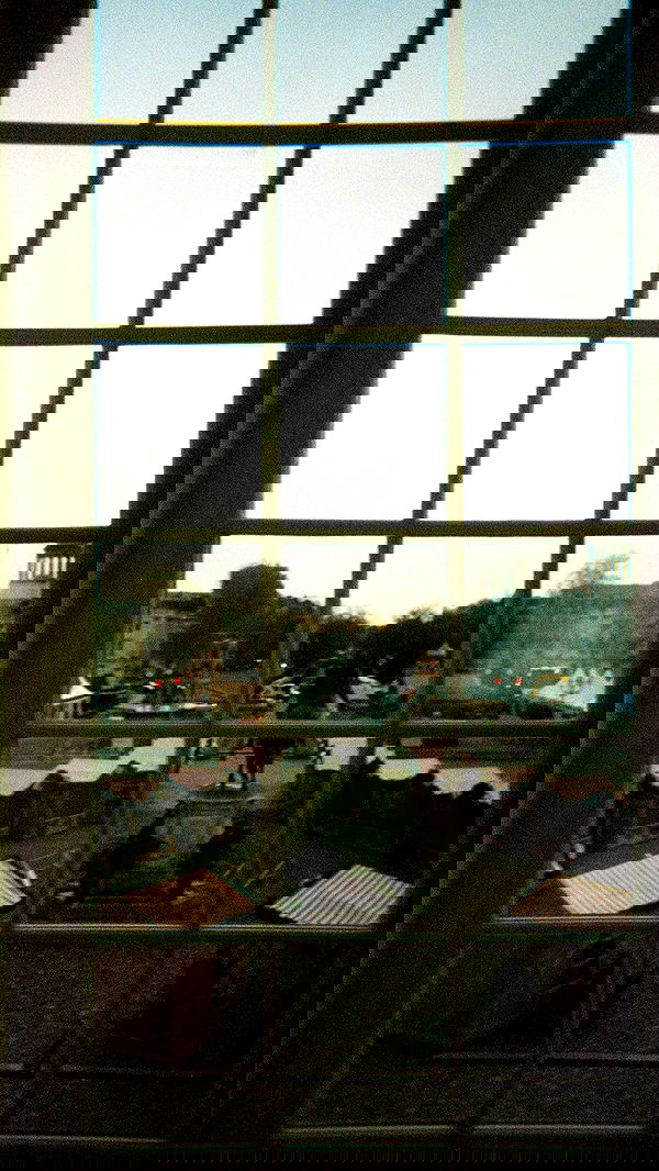 nettakatycat image ~ Altpins