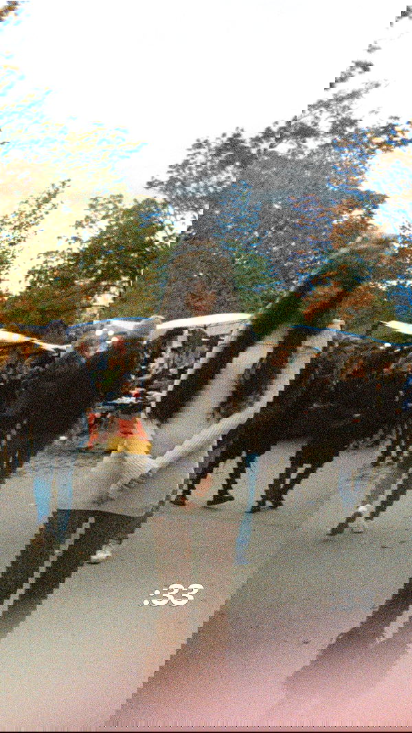 nettakatycat image ~ Altpins