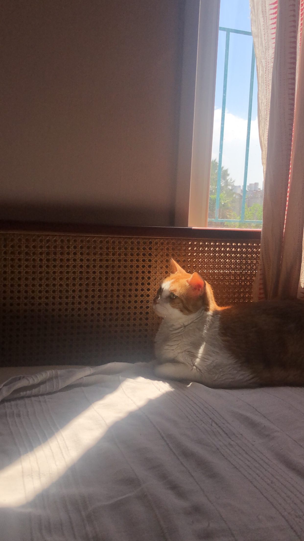 nettakatycat instagram image archive image