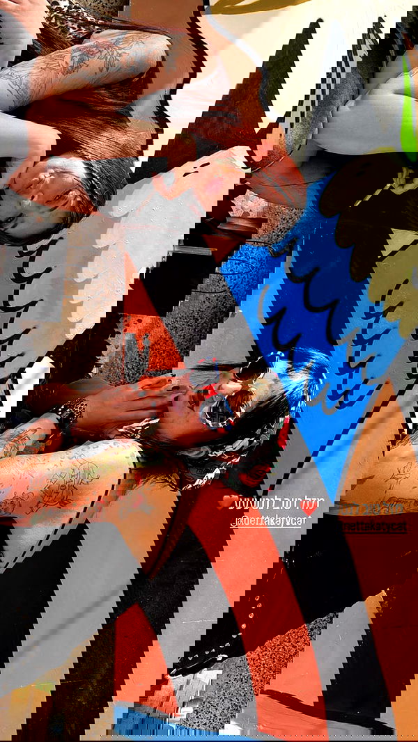 nettakatycat image ~ Altpins