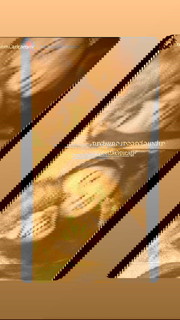 nettakatycat image ~ Altpins