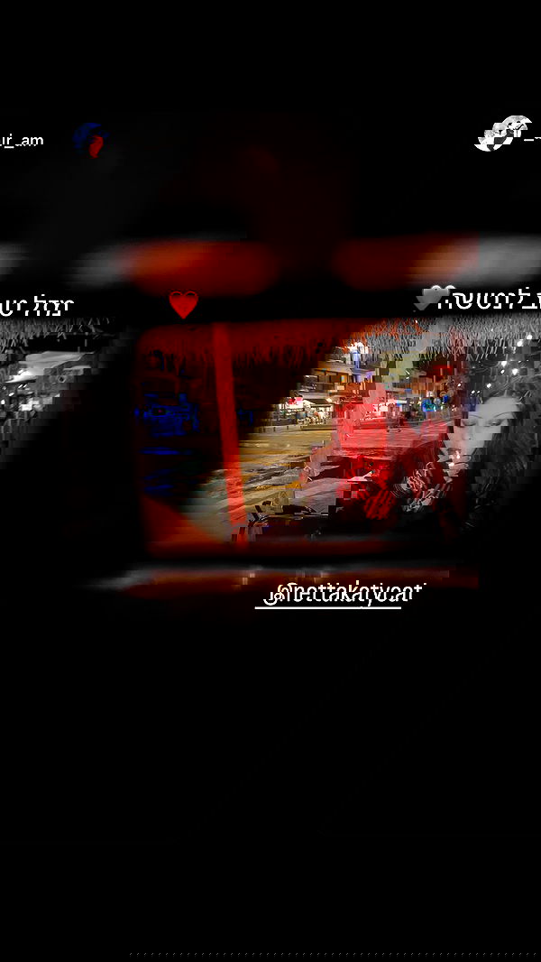 nettakatycat image ~ Altpins