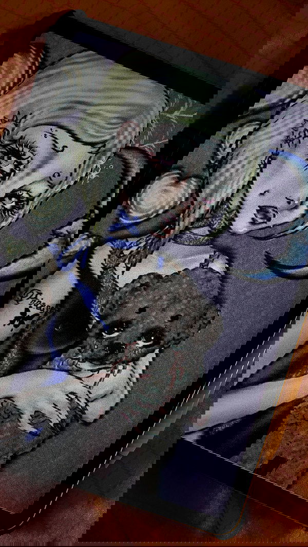 nettakatycat image ~ Altpins