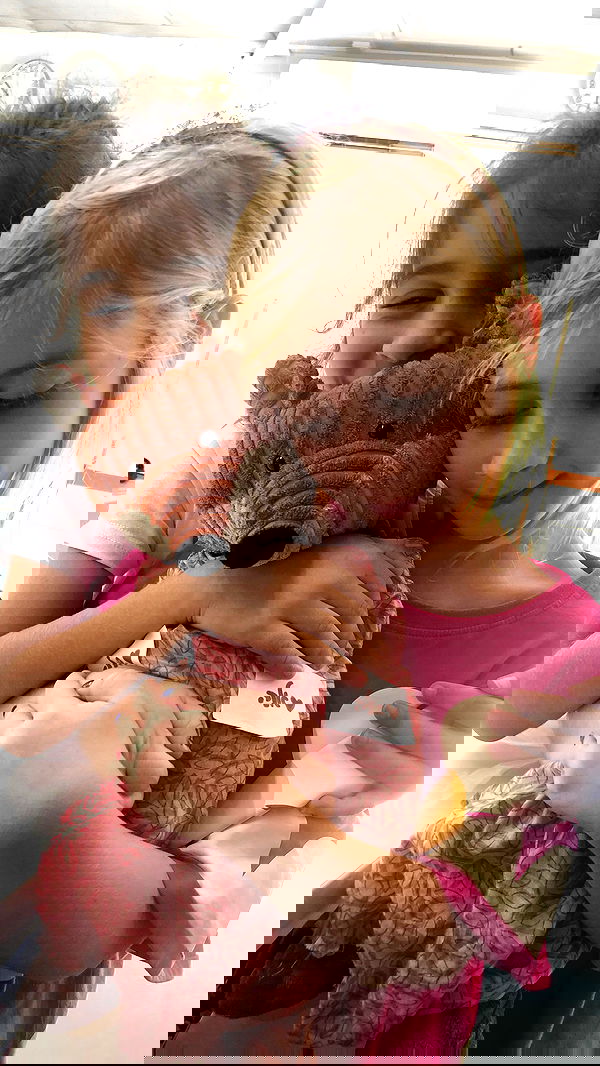 nettakatycat image ~ Altpins