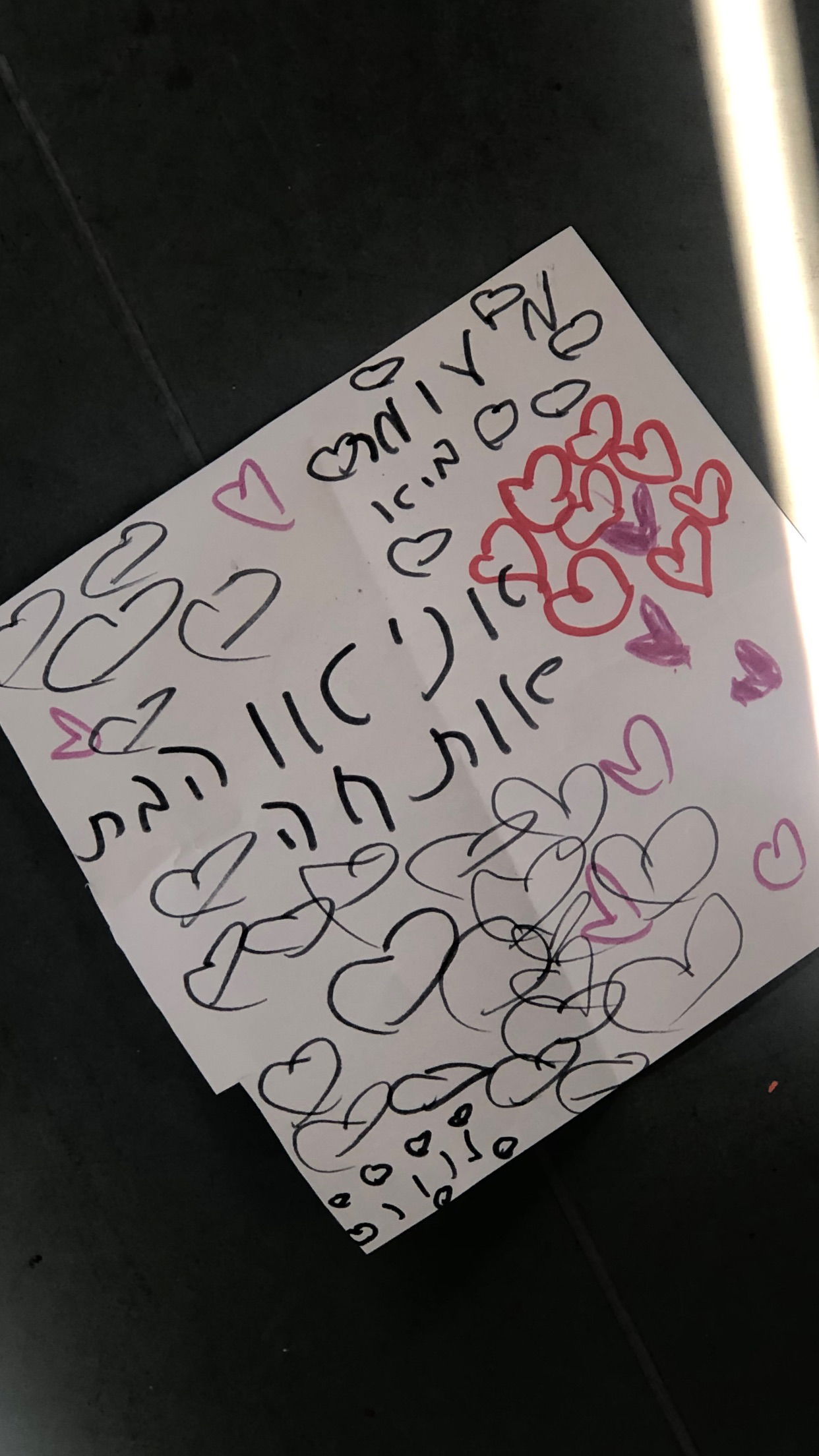 nettakatycat instagram image archive image