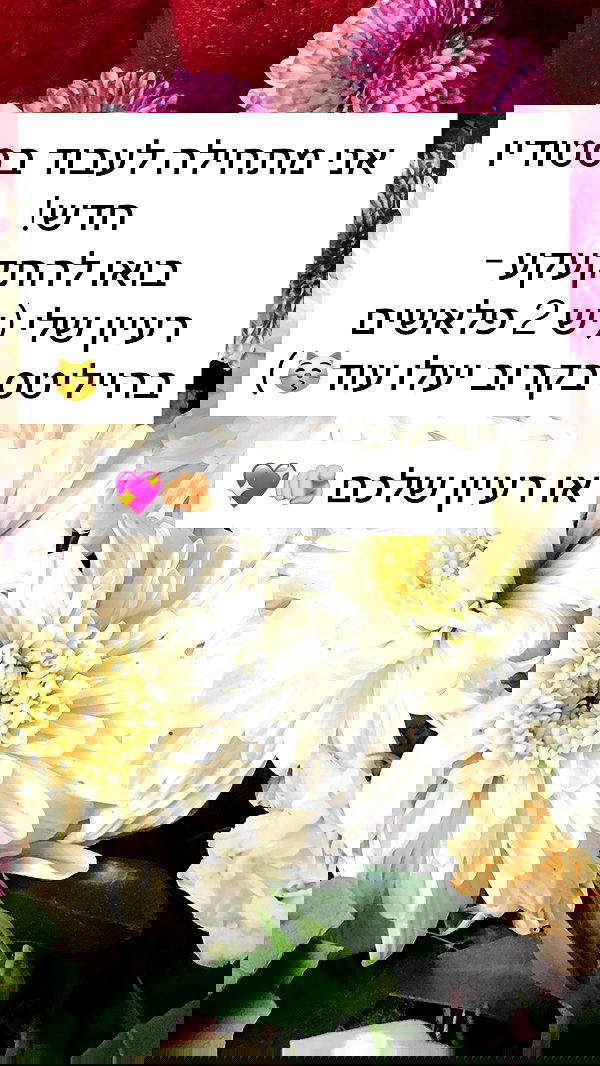 nettakatycat image ~ Altpins