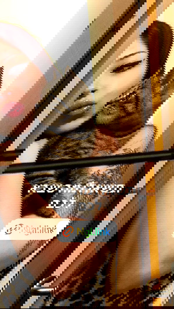 nettakatycat image ~ Altpins