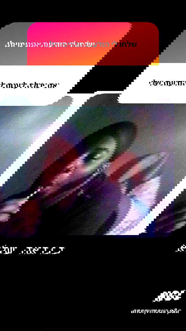 nettakatycat image ~ Altpins