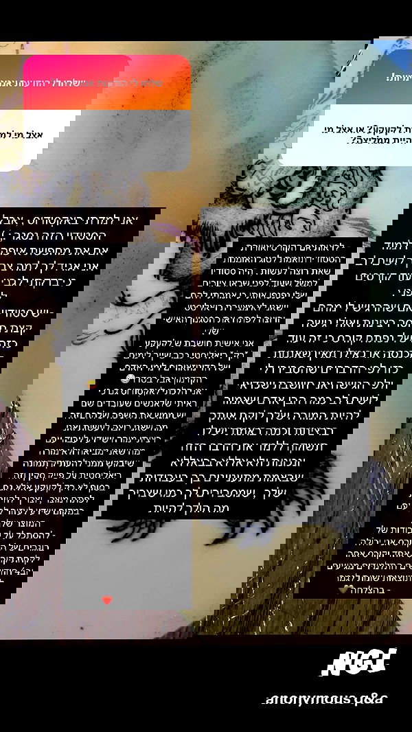 nettakatycat image ~ Altpins