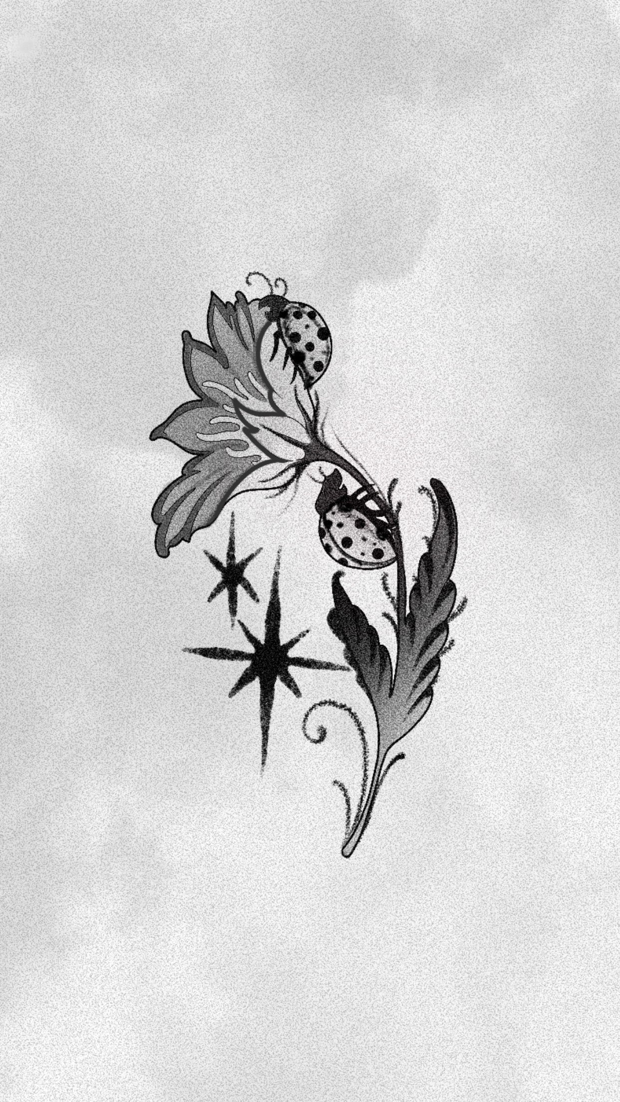 nettakatycat instagram image archive image