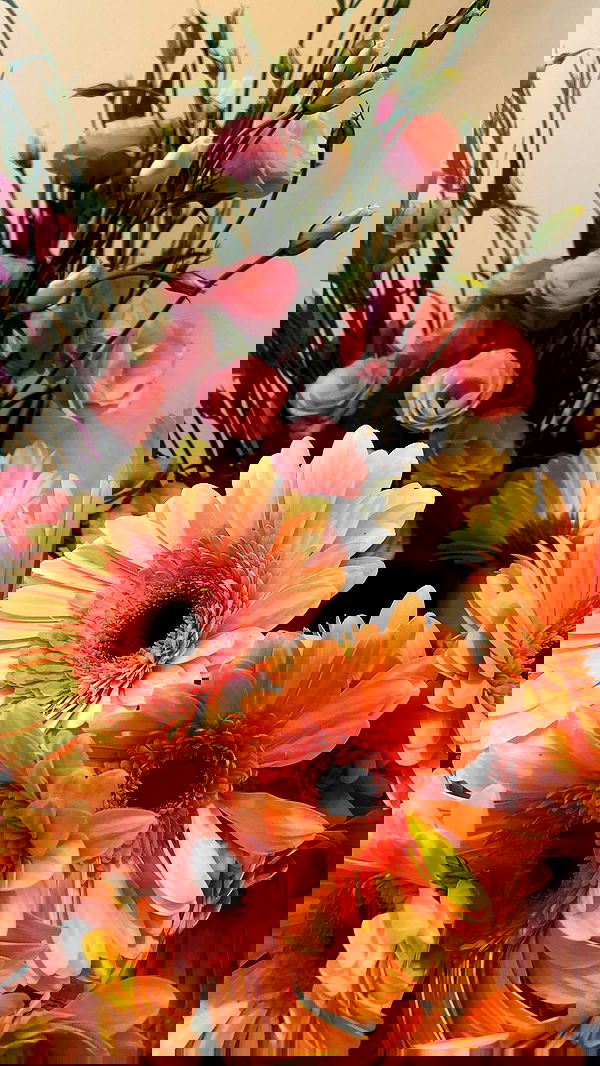 nettakatycat image ~ Altpins