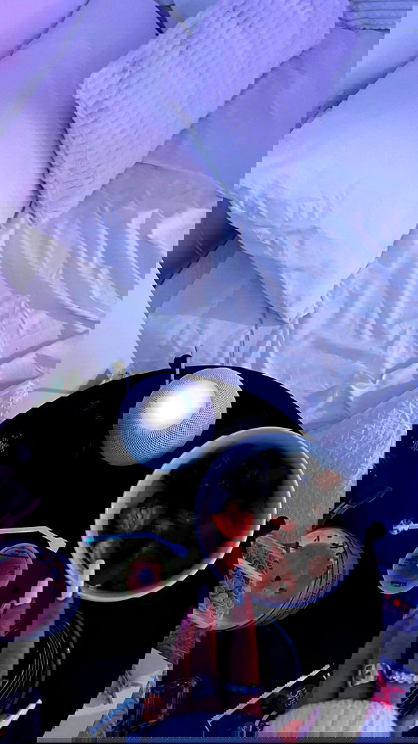 nevaaadaa nevaaadaa archive image