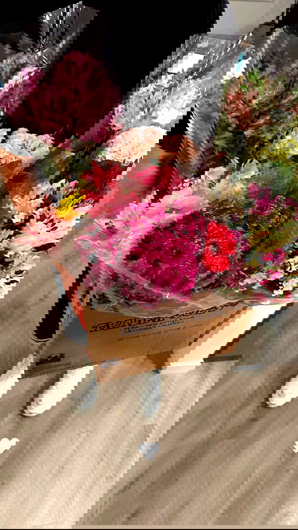 nevaaadaa nevaaadaa archive image