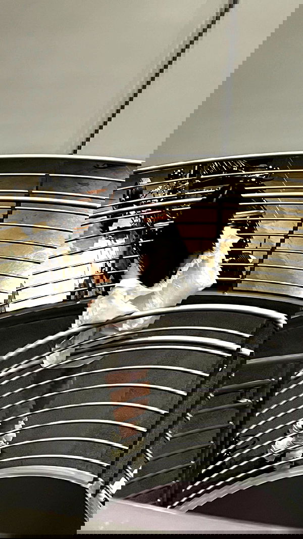 nevaaadaa nevaaadaa archive image