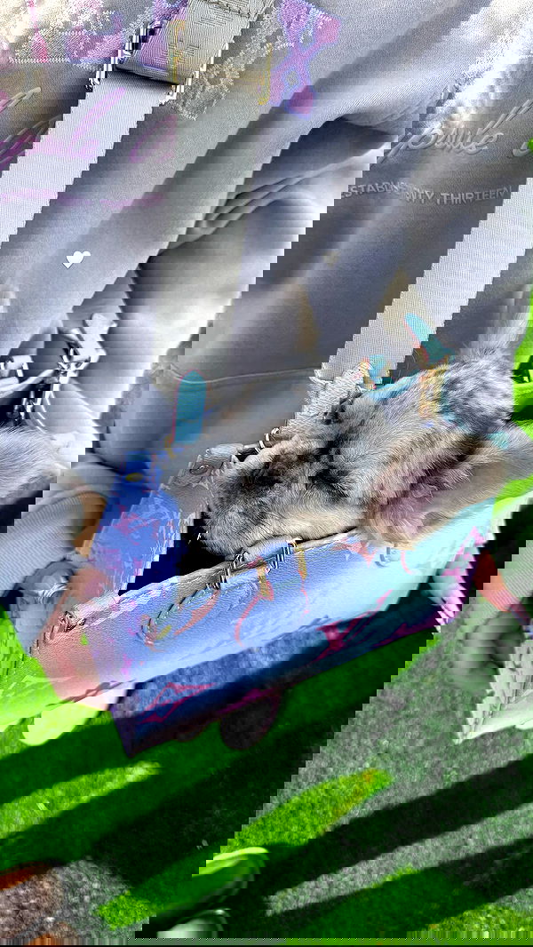 nevaaadaa nevaaadaa archive image