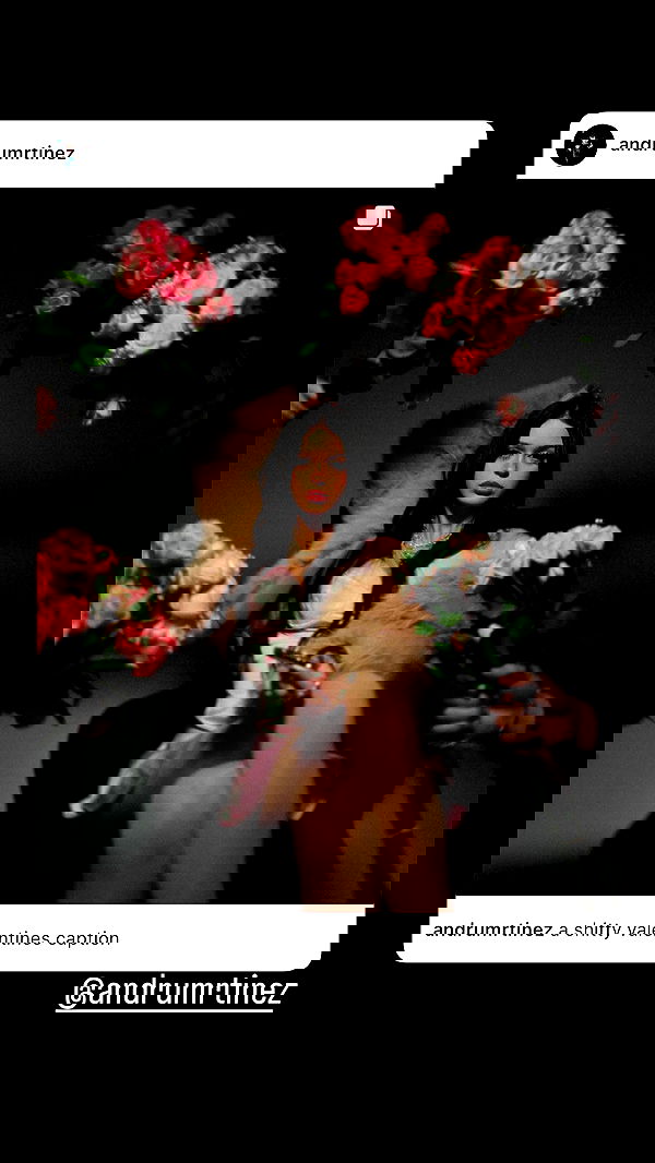 nevaaadaa nevaaadaa archive image