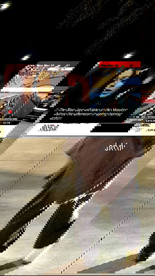 nevaaadaa nevaaadaa archive image