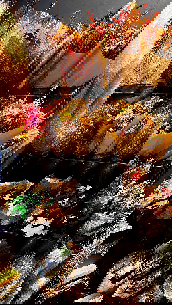 nevaaadaa nevaaadaa archive image