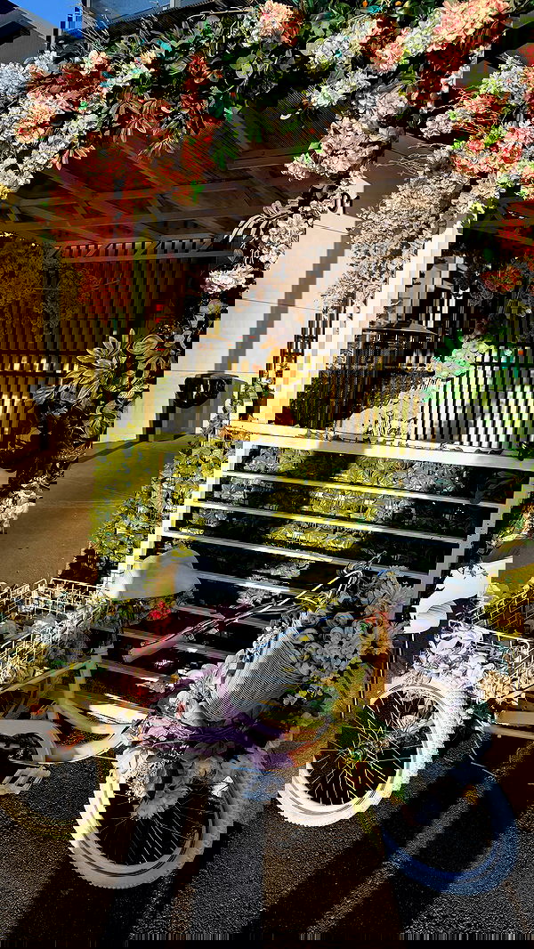 nevaaadaa nevaaadaa archive image