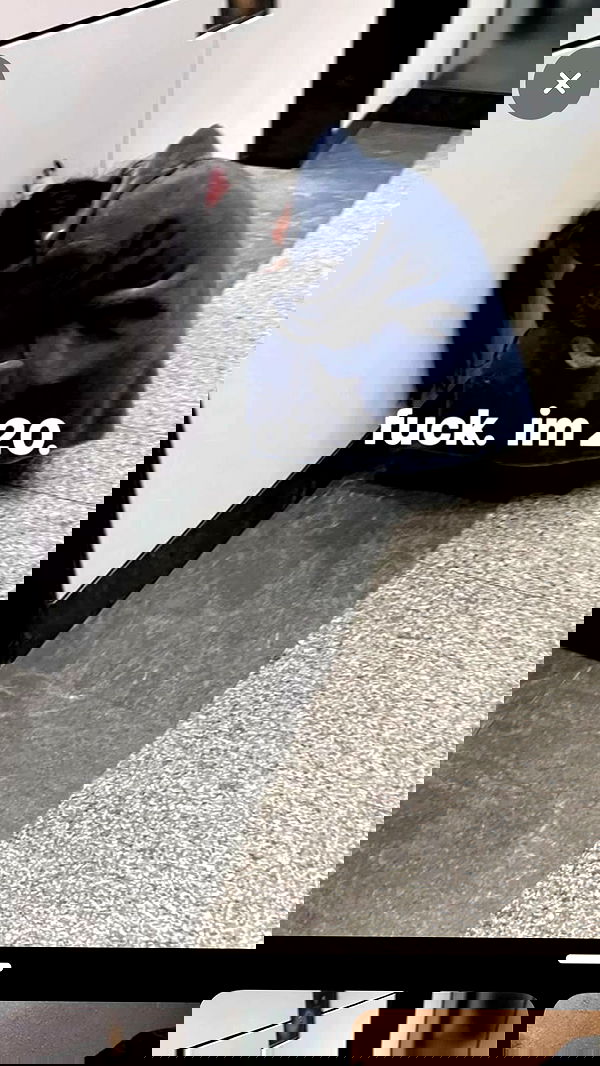 nevaaadaa nevaaadaa archive image