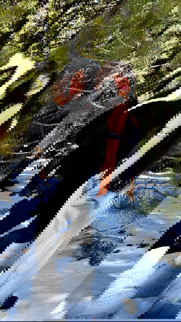 nevaaadaa nevaaadaa archive image