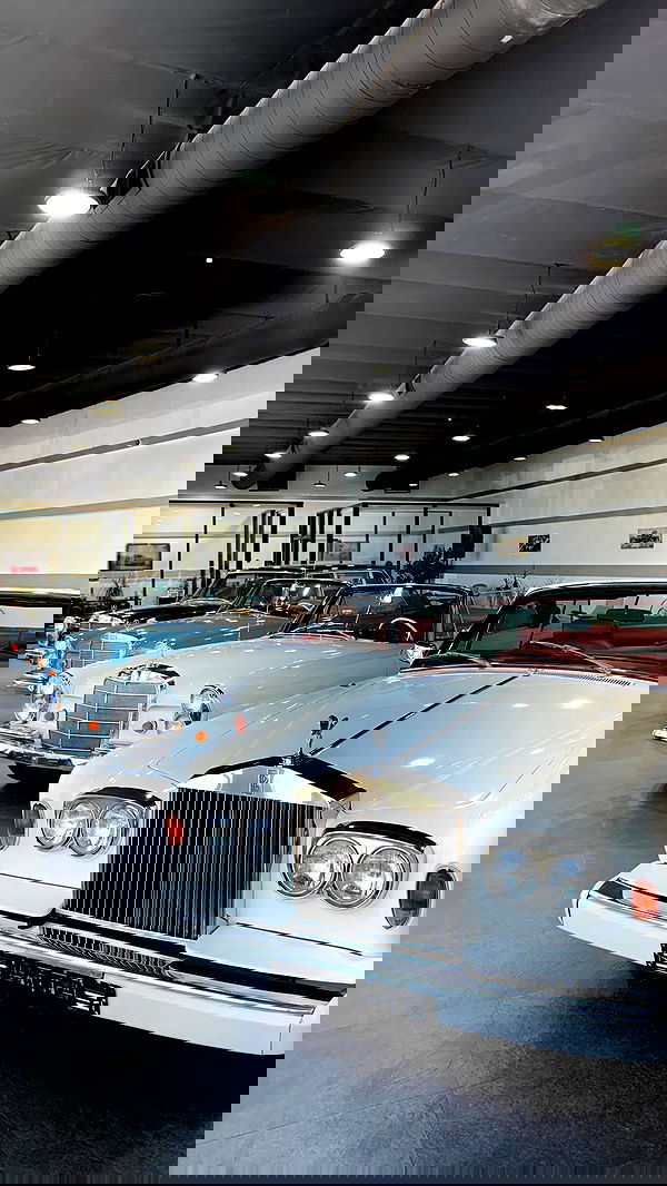 nevaaadaa nevaaadaa archive image