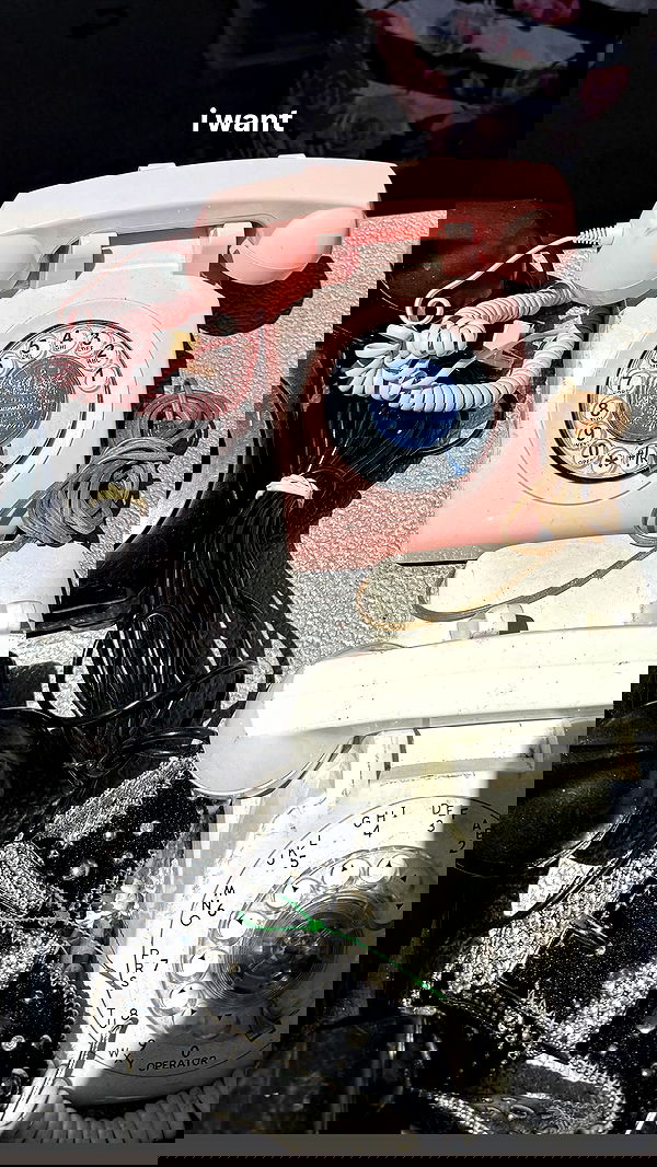 nevaaadaa nevaaadaa archive image