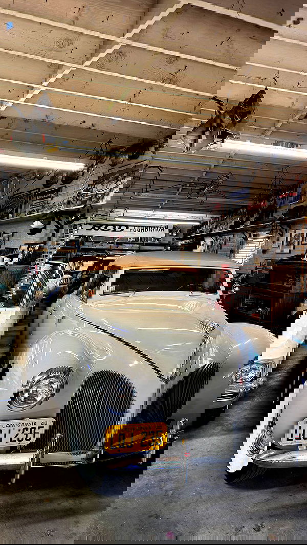 nevaaadaa nevaaadaa archive image