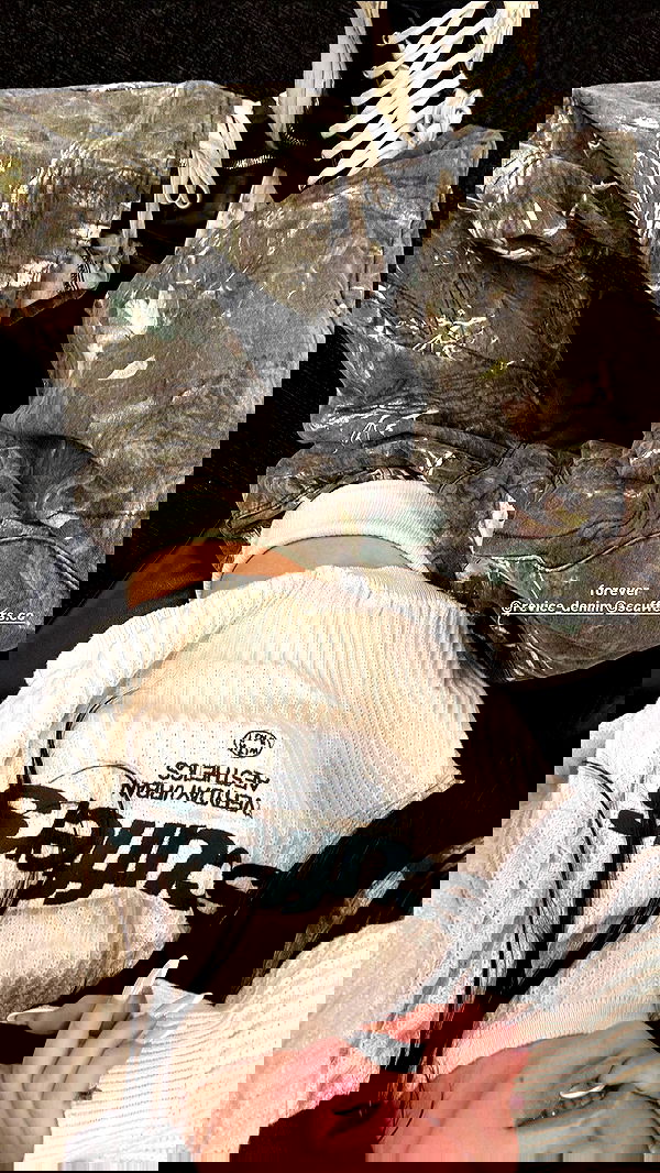 nevaaadaa nevaaadaa archive image