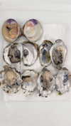 newpoort Altpins Profile Picture