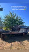newpoort Altpins Profile Picture