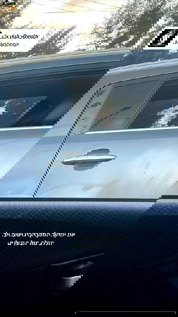 nicole.shpo nicole.shpo archive image