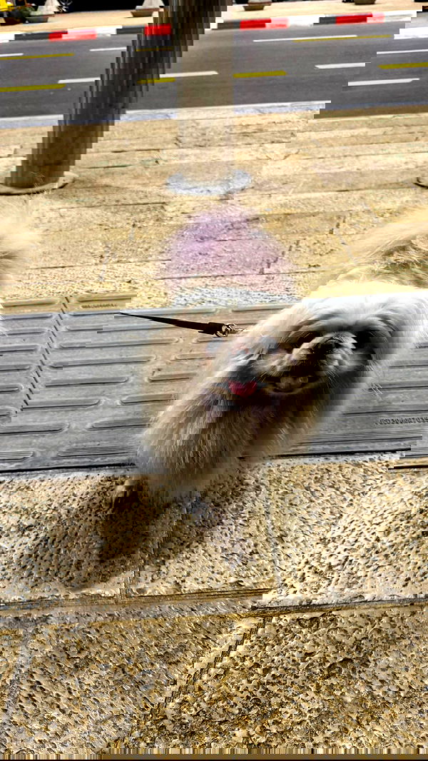 nicole.shpo nicole.shpo archive image