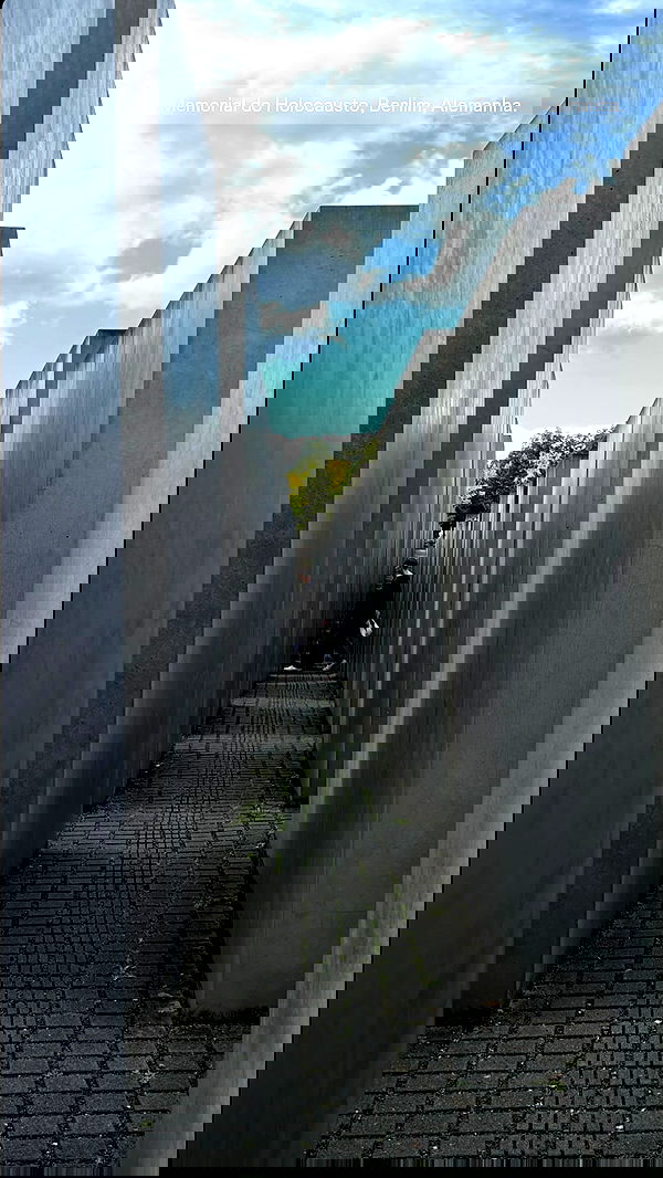 nicole.shpo nicole.shpo archive image