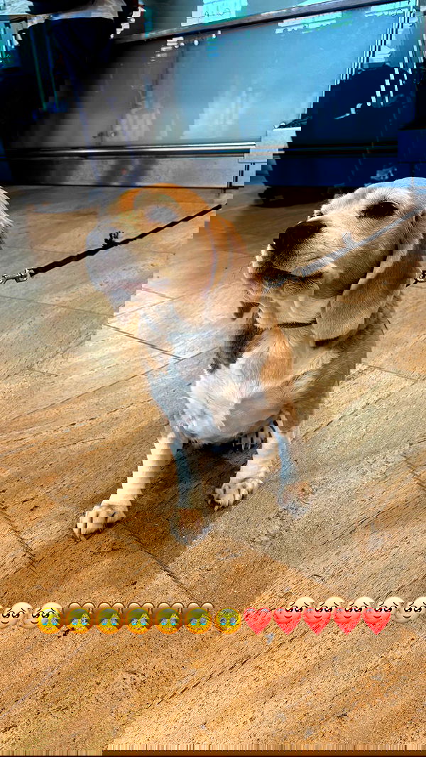 nicole.shpo nicole.shpo archive image