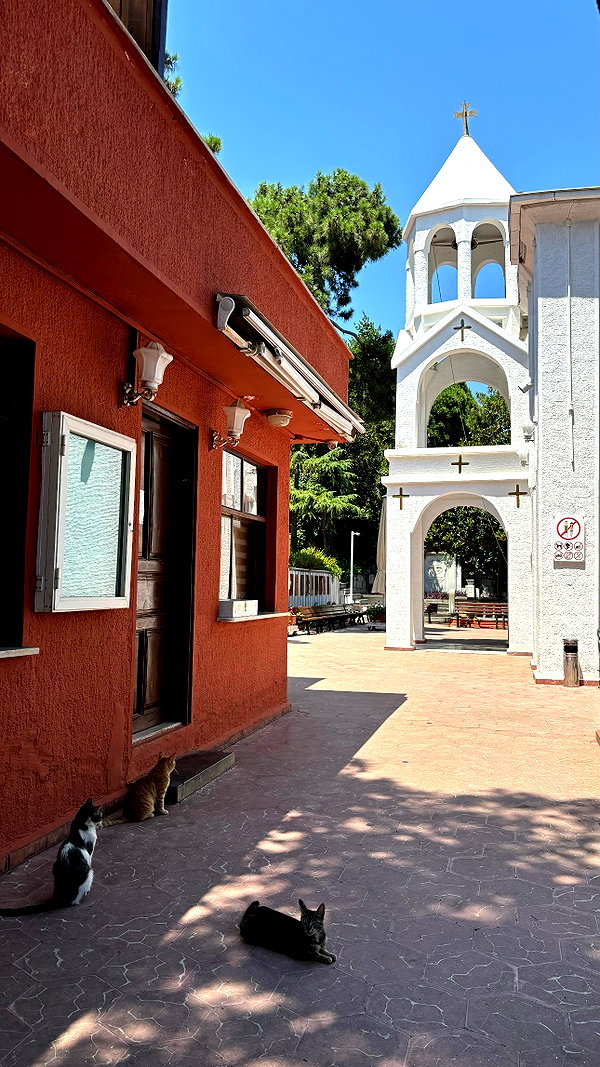 niisadurmaz niisadurmaz archive image
