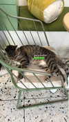 niisadurmaz Altpins Profile Picture