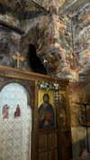 niisadurmaz Altpins Profile Picture