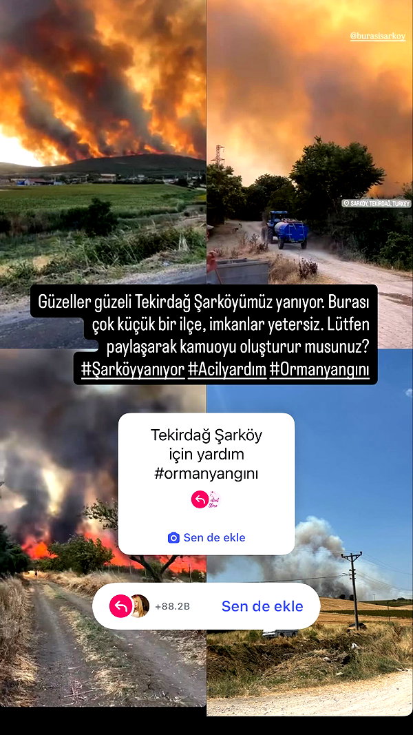 niisadurmaz instagram image archive image
