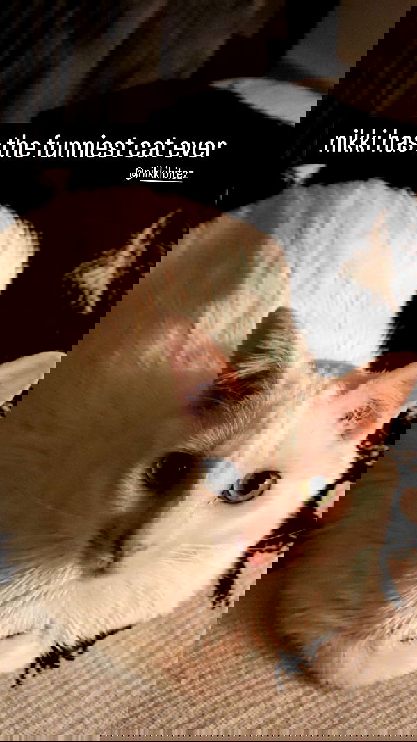 nikkibitez nikkibitez archive image