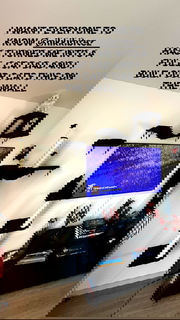 nikkibitez nikkibitez archive image