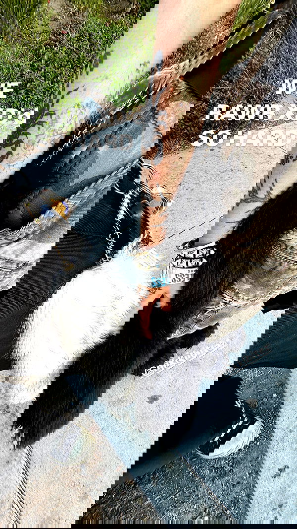 nikkibitez nikkibitez archive image