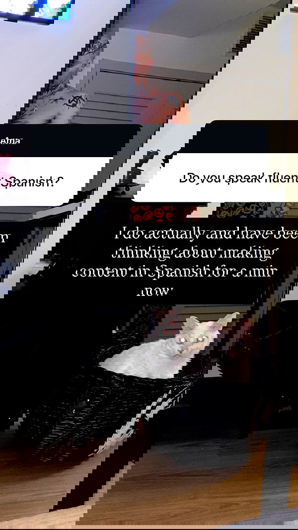 nikkibitez nikkibitez archive image