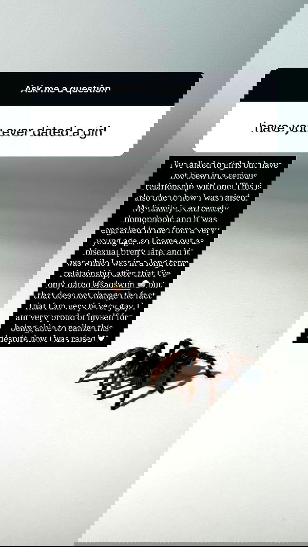 nikkibitez nikkibitez archive image