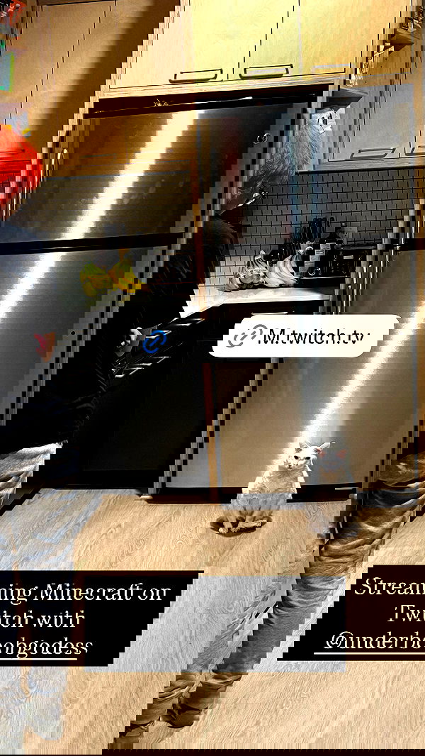 nikkibitez nikkibitez archive image