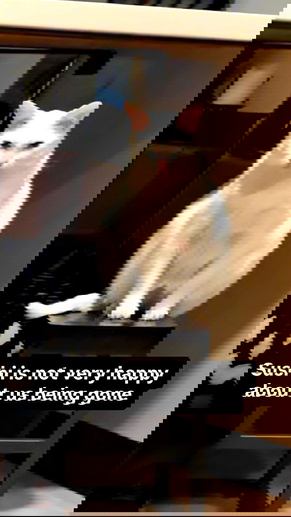 nikkibitez nikkibitez archive image