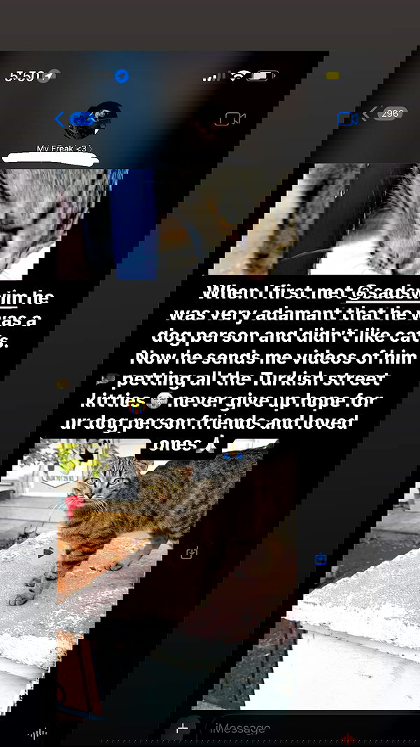 nikkibitez nikkibitez archive image