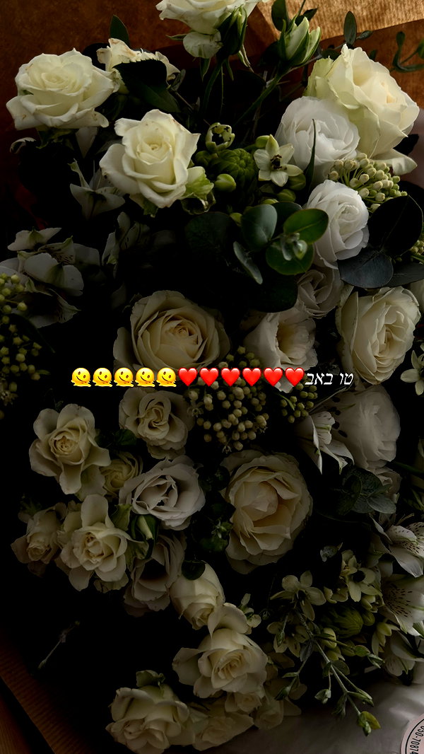 nikol.shishak instagram image archive image
