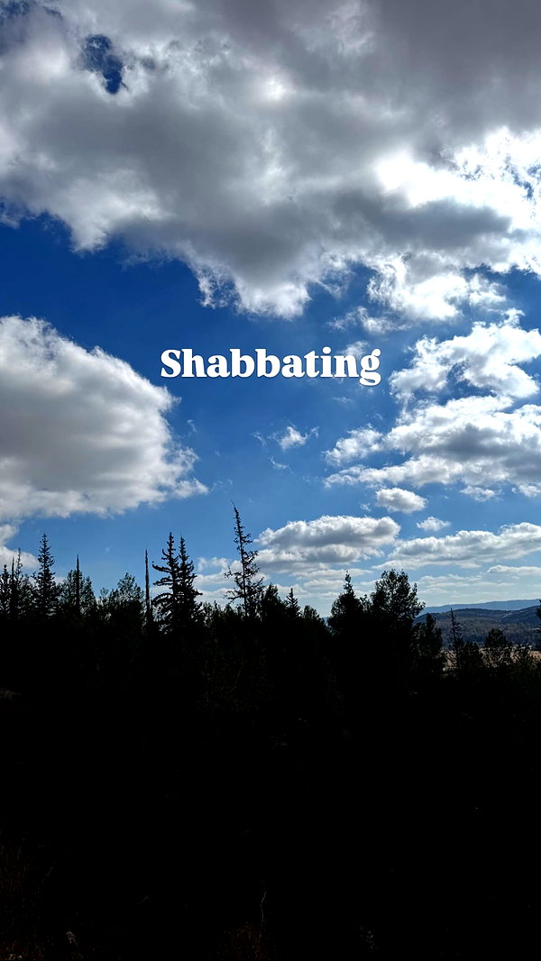 nikol.shishak nikol.shishak archive image