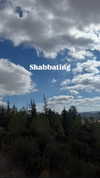 nikol.shishak Altpins Profile Picture